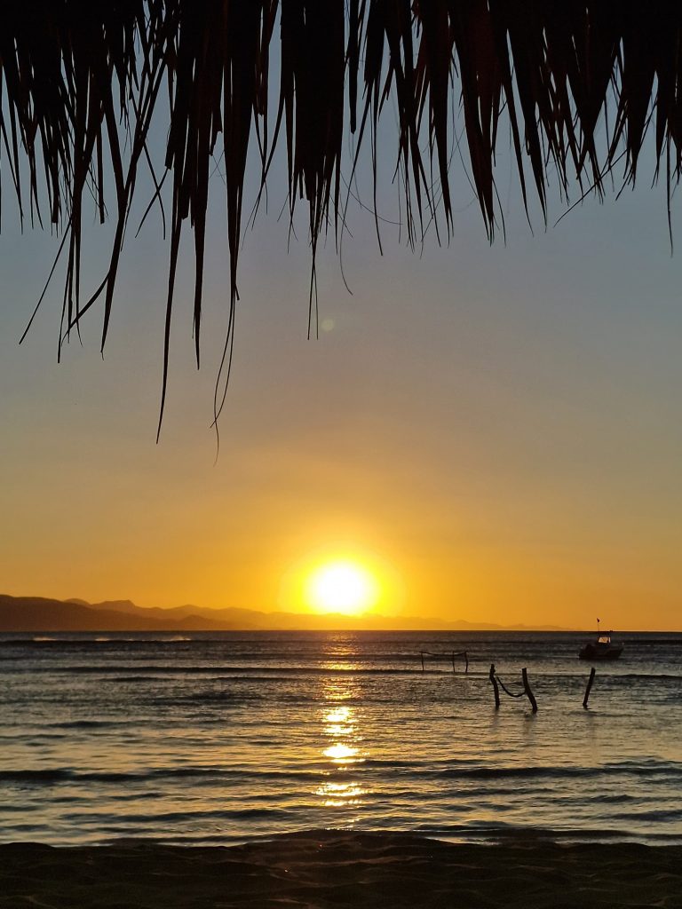 golden sunset water palm silhouette punta rucia lodge