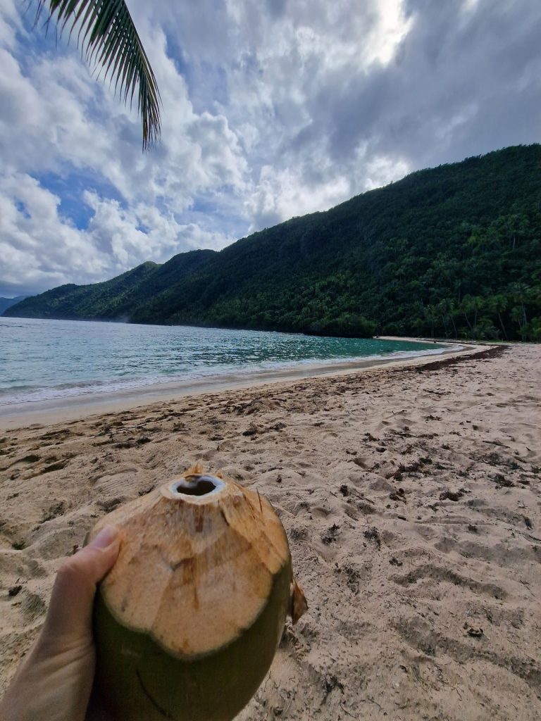 hand holding coconut el valle beach forested cliff samana