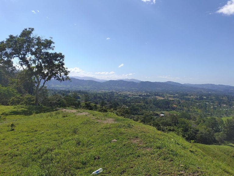 hilltop lone tree green valley town mountain backdrop jarabacoa