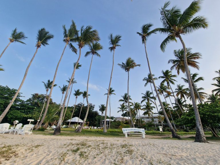 hotel todo blanco palm garden beach loungers las galeras