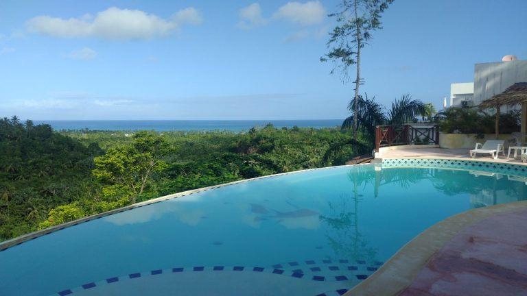 infinity pool jungle ocean view hillside sosua