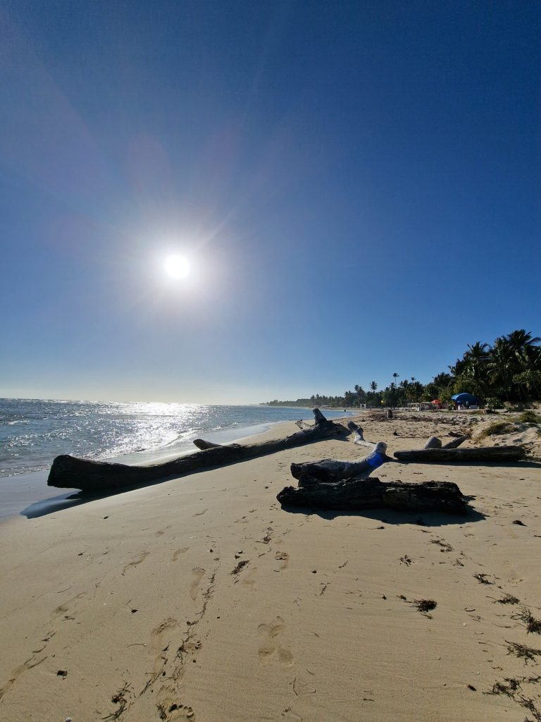 juan dolio beach driftwood log sun glare south coast