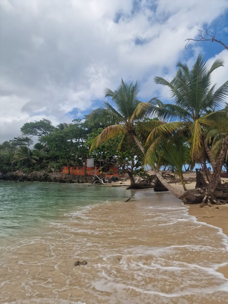 juan dolio beach fallen palms thatched restaurant caribbean