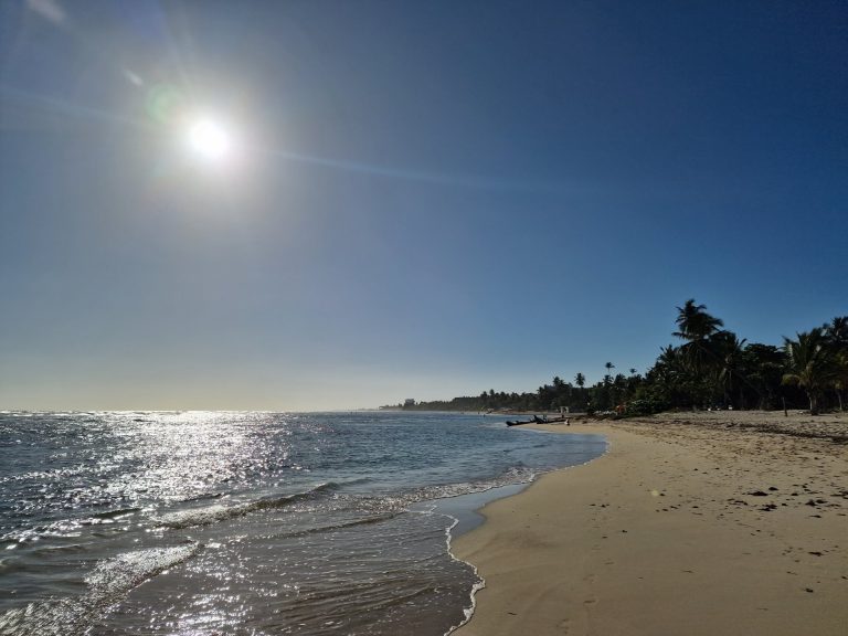 juan dolio beach wide sand sunny palms south coast