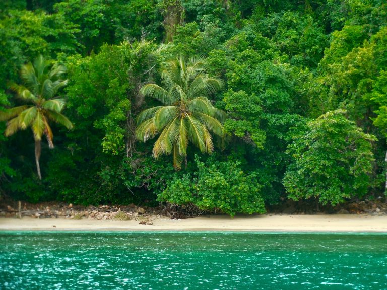 jungle meets sandy beach las terrenas