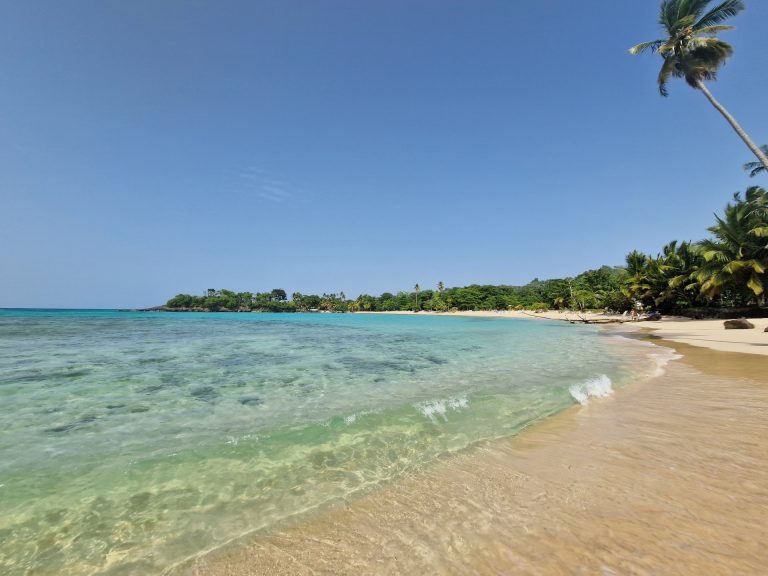 las galeras beach palms mountain backdrop sunshine samana
