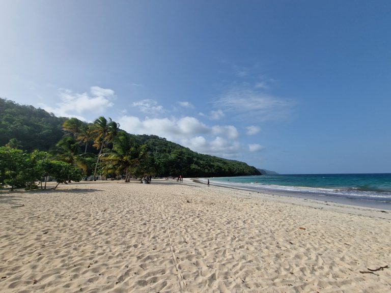las galeras main beach wide view palms samana