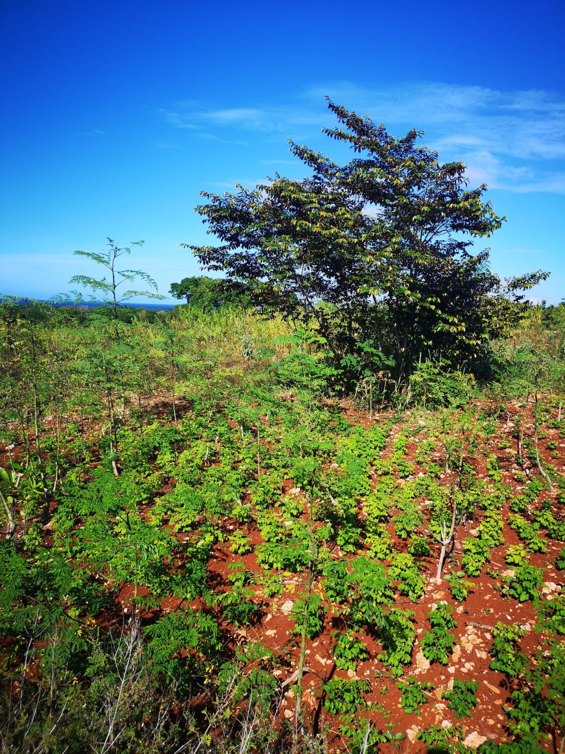 Lomas Mironas, Cabarete, Dominican Republic