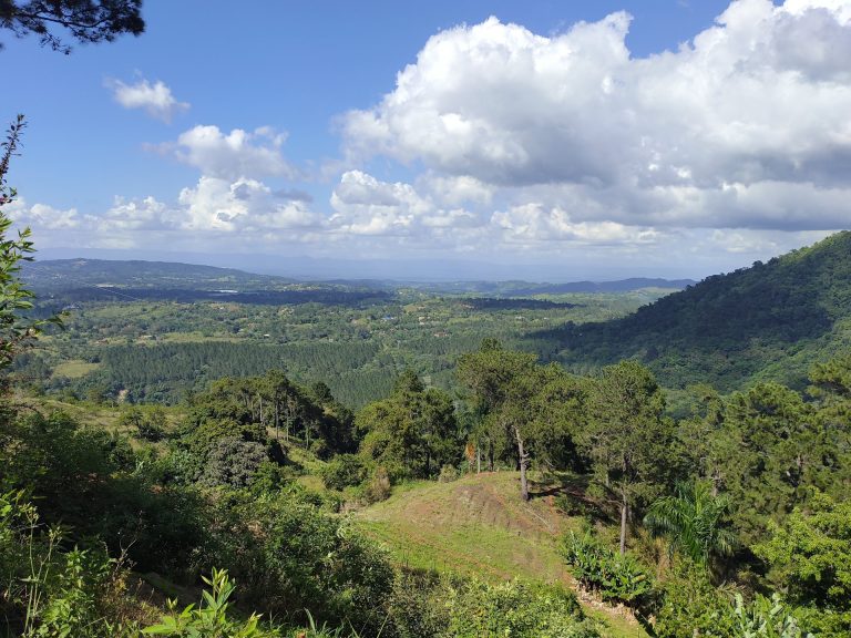 mountain valley panorama pine trees sea horizon jarabacoa