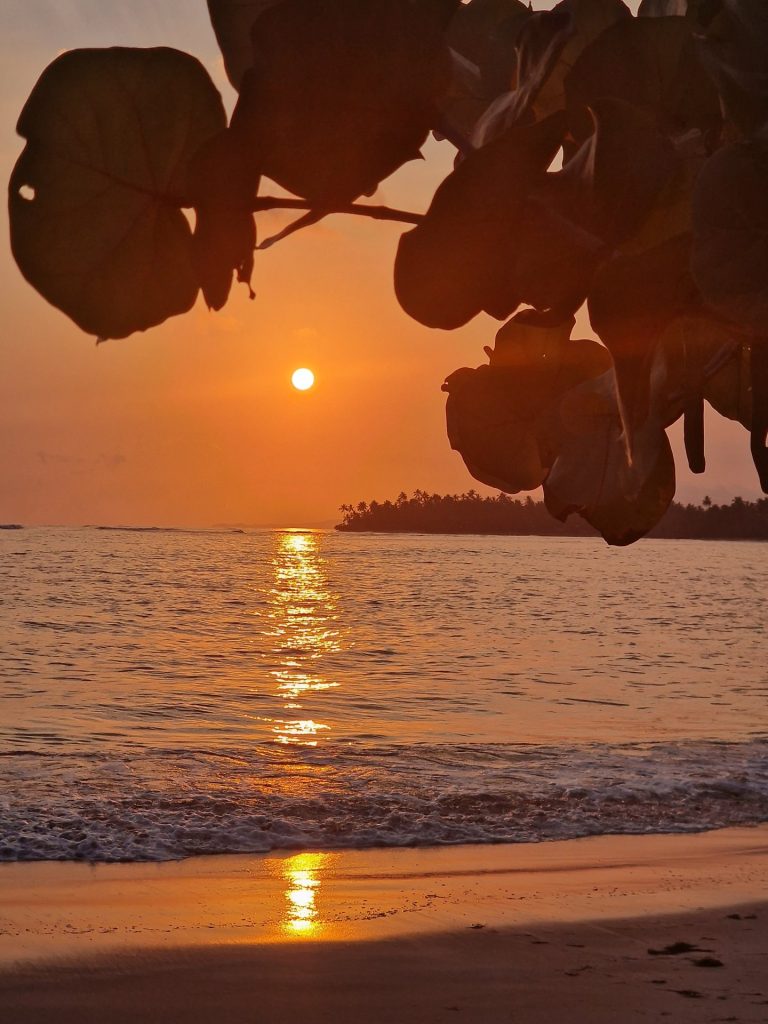 orange sunrise sea grape silhouette beach juan dolio