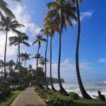 Las Terrenas