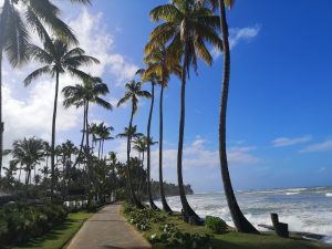 Las Terrenas