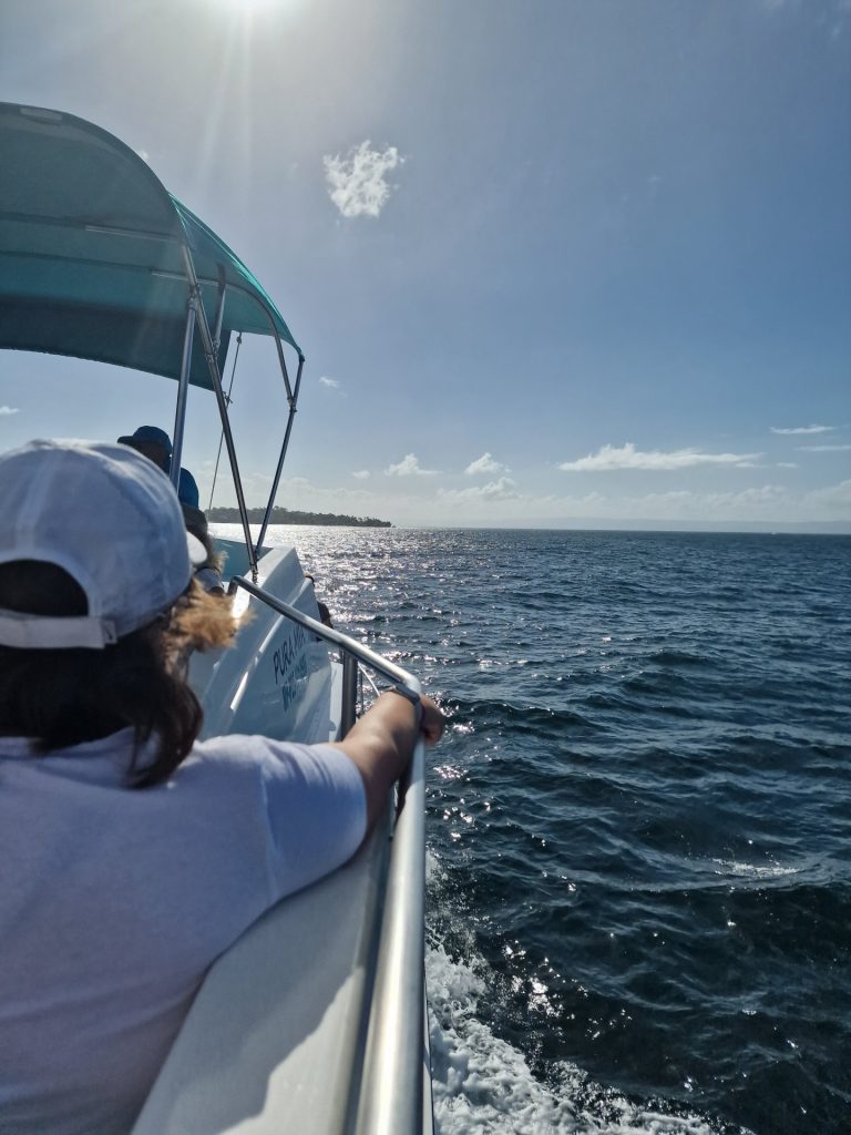 passenger bow whale watching boat samana bay