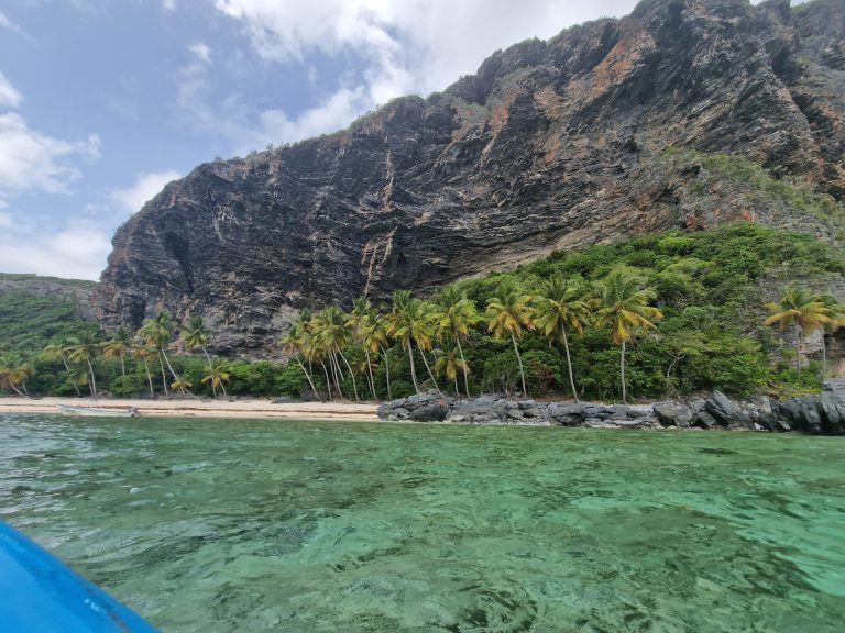 playa fronton beach palms under black cliff samana