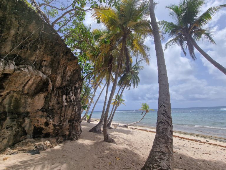 playa fronton rocky shore palms turquoise water samana