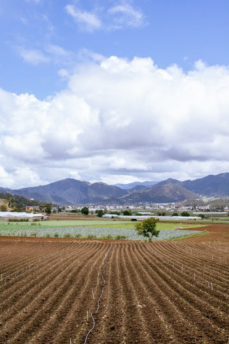 ploughed farmland mountain backdrop constanza