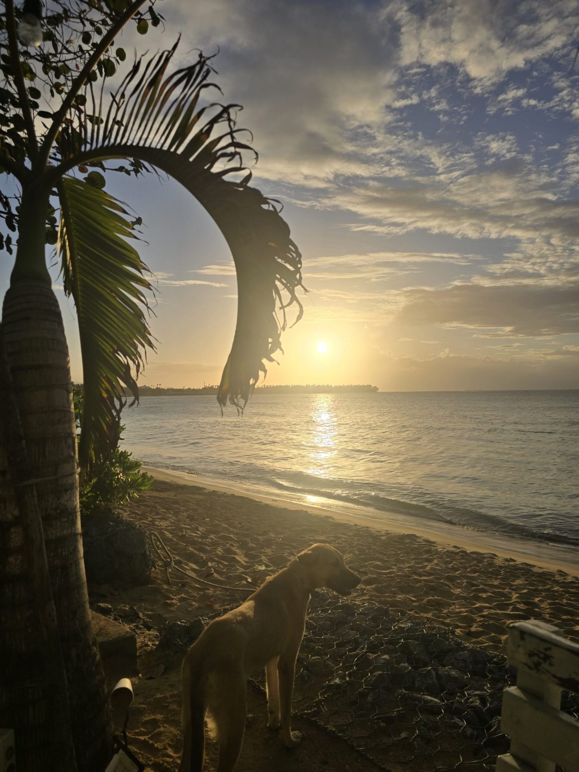 Punta Popy, Las Terrenas, Dominican Republic