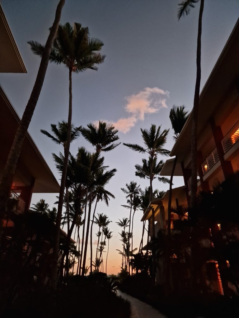 resort palms dawn sky barcelo bavaro punta cana