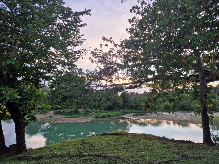 river bend lush green banks evening light bonao interior