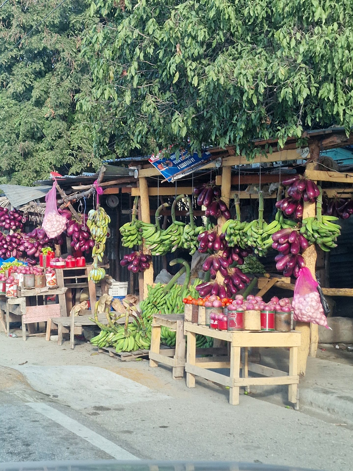 Roadside produce stall with onions and plantains in the Dominican Republic