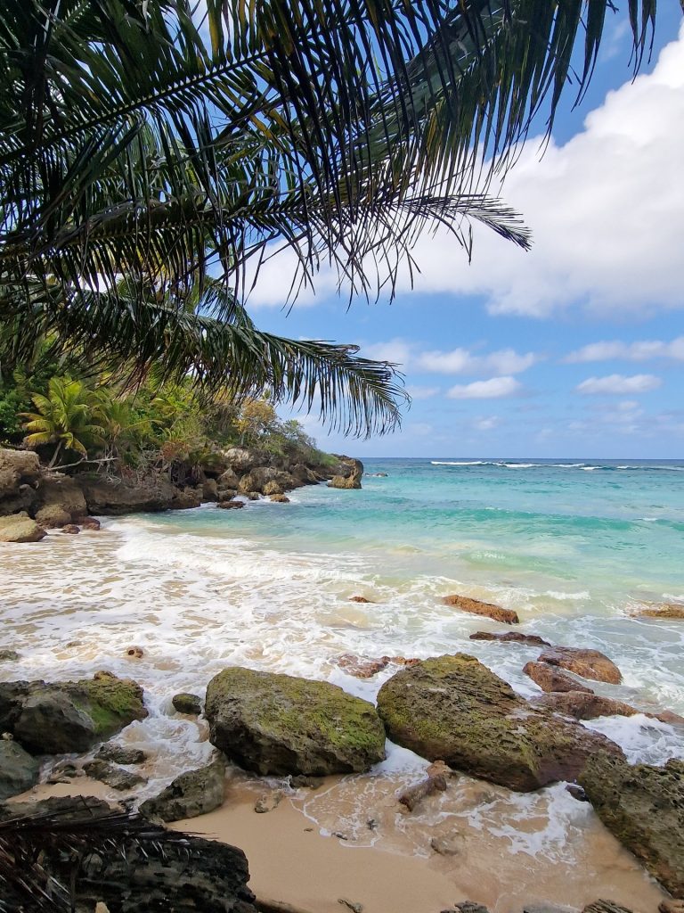 rocky cove moss boulders palms waves juan dolio