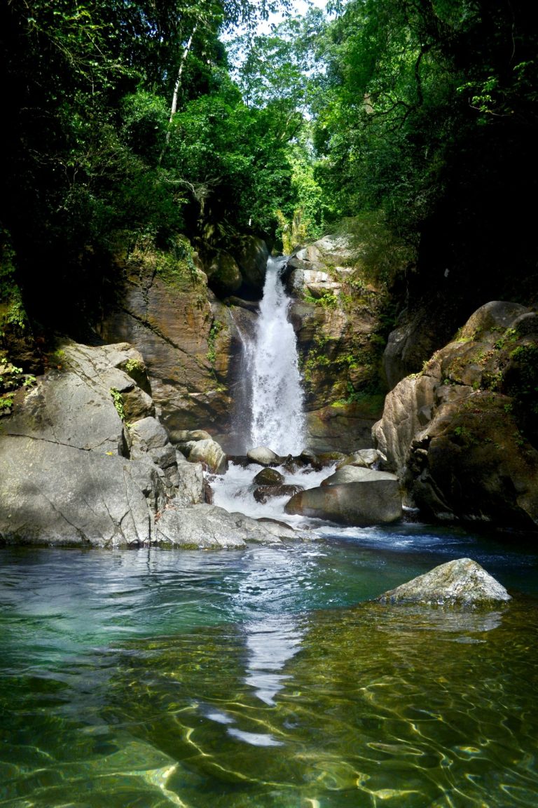 saltos de jima waterfall forest bonao