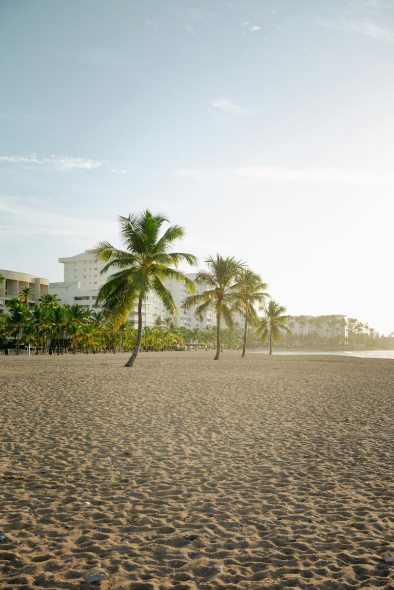 sandy beach palms buildings background juan dolio