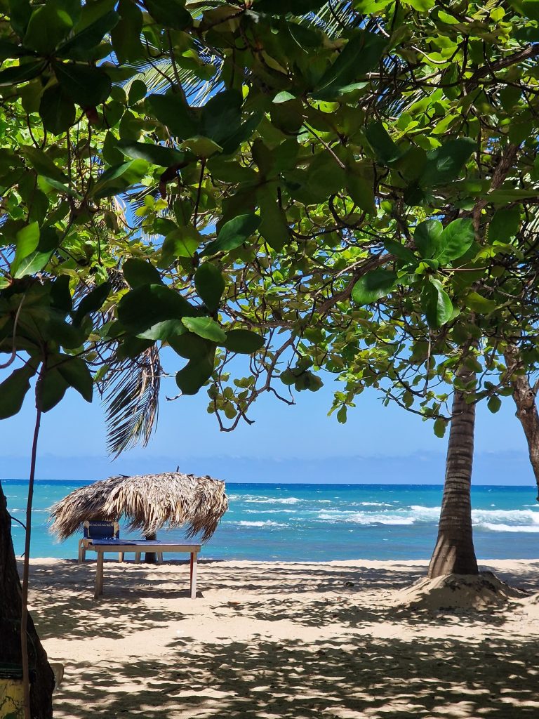 sea grape tree thatched palapa turquoise water punta rucia