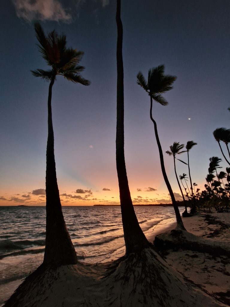 sunrise beach palm silhouettes moon bavaro punta cana