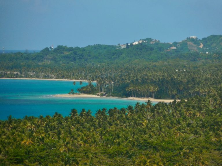 tropical coastline turquoise water palms las terrenas