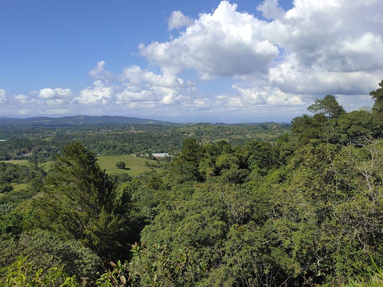 tropical forest mountain valley farmland panorama jarabacoa