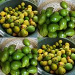 Tropical fruit at DR market