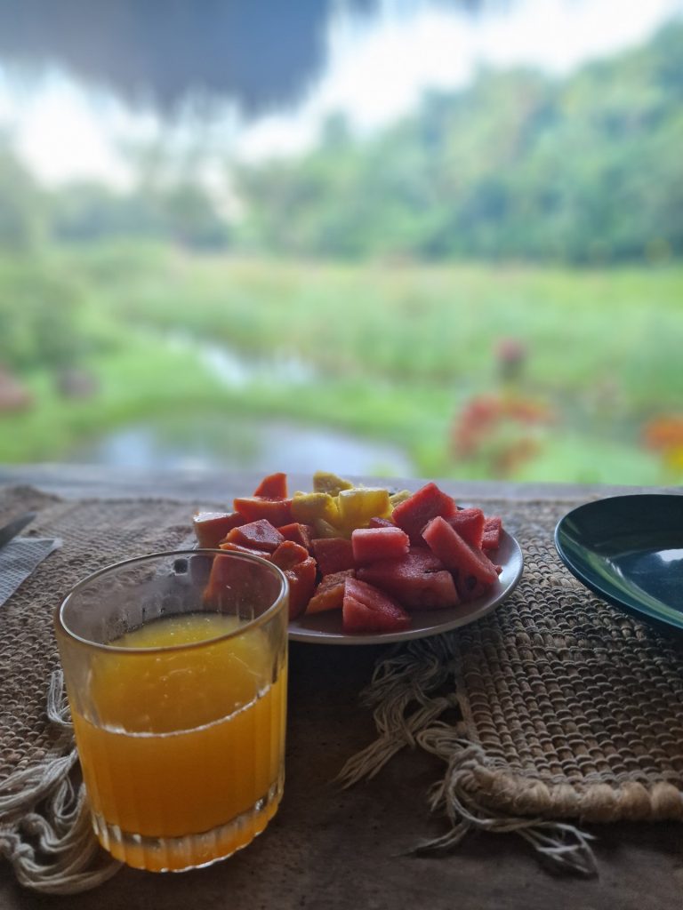 tropical fruit plate orange juice breakfast el valle samana