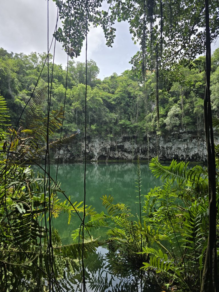 tropical lagoon lush green trees reflection santo domingo