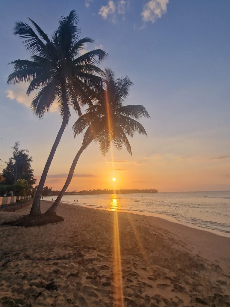 twin palms sunset calm caribbean sea juan dolio