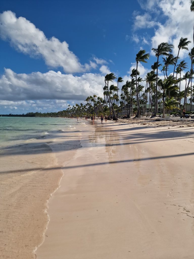 white sand beach palms chairs bavaro punta cana