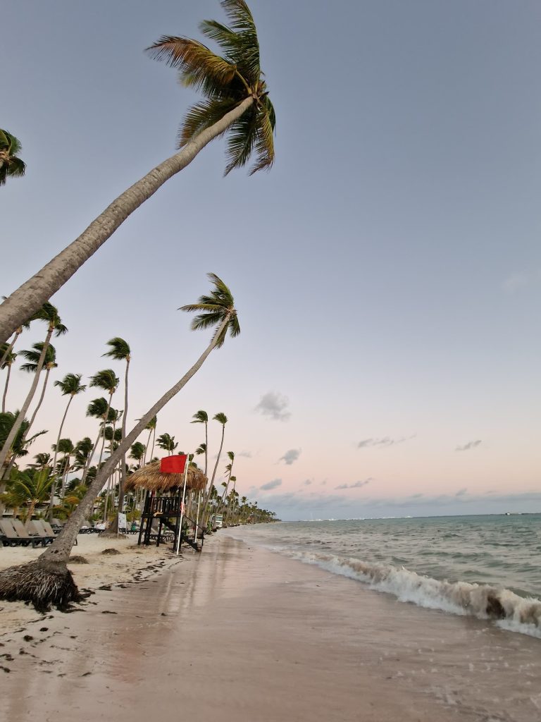 wide beach dawn palms beach bar bavaro punta cana